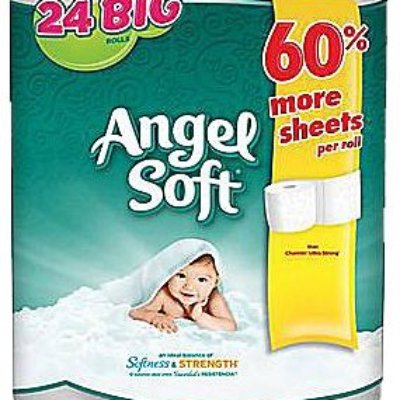 Angel Soft 2-Ply Bath Tissue 24 Big Rolls Only $5.99 (Regular $11.99)