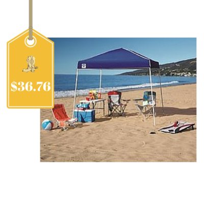 Z-Shade 10’ x 10’ Instant Canopy Only $36.76 (Regular $79.99)