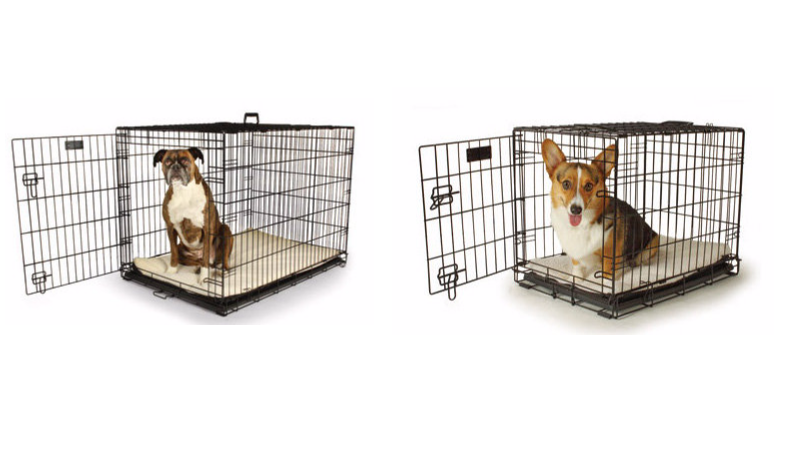 dog-grate-deal