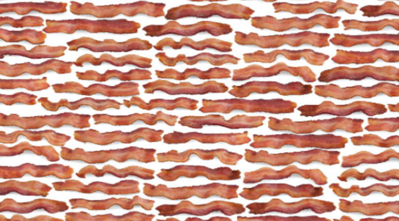 Request FREE Bacon Printed Wrapping Paper